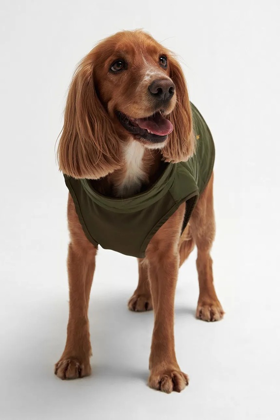 Barbour płaszcz dla psa Reversible Quilt/Borg DCO0077
