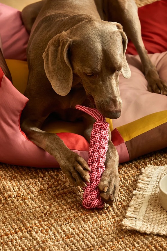 Calma House jucărie pentru un animal de companie Buby 31 cm BUBY.PT31.ROS roz
