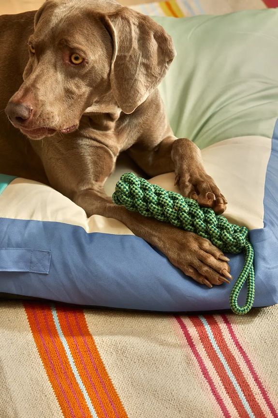 Lifestyle Calma House jucărie pentru un animal de companie Buby 31 cm BUBY.PT31.TUR verde