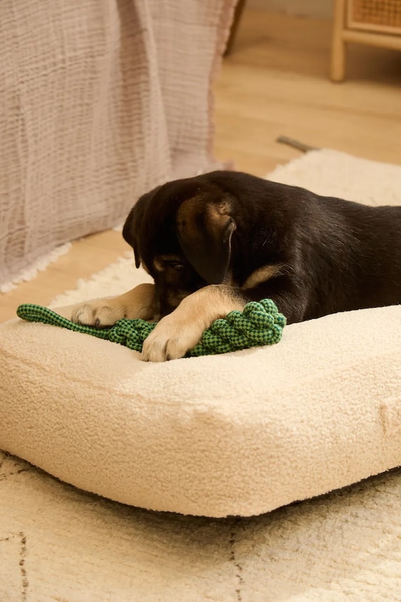 Calma House jucărie pentru un animal de companie Buby 31 cm BUBY.PT31.TUR