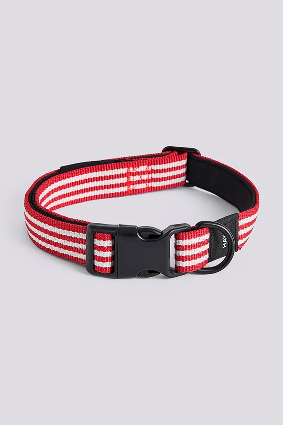 HAY obroża dla psa M/L multicolor AD864.D013.AU34