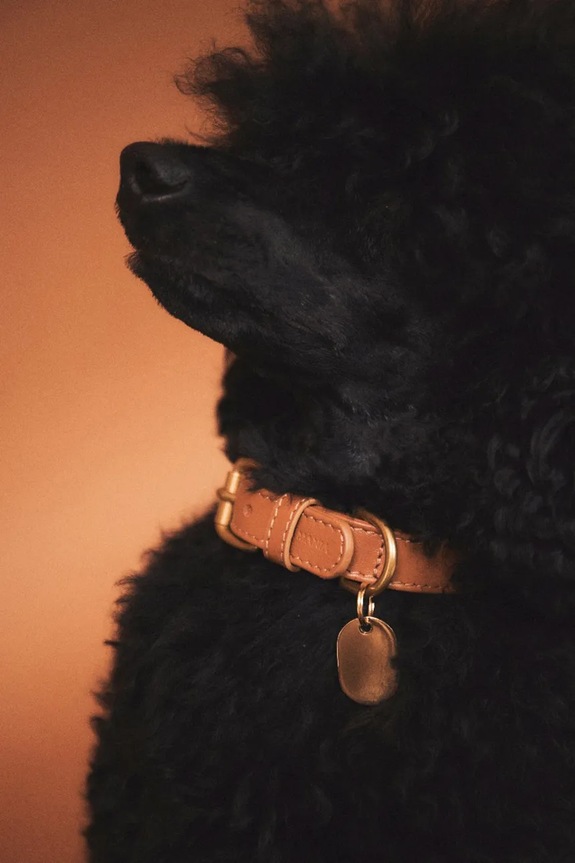 Δερμάτινο κολάρο για σκύλο La Mania Selvo S/36 - 42 cm καφέ 5905549444764