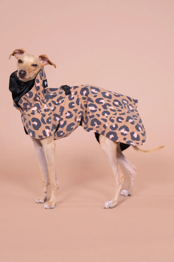 Αδιάβροχο παλτό για σκύλο PAIKKA Visibility Raincoat 48 x 38 x 0,9 cm 1041005
