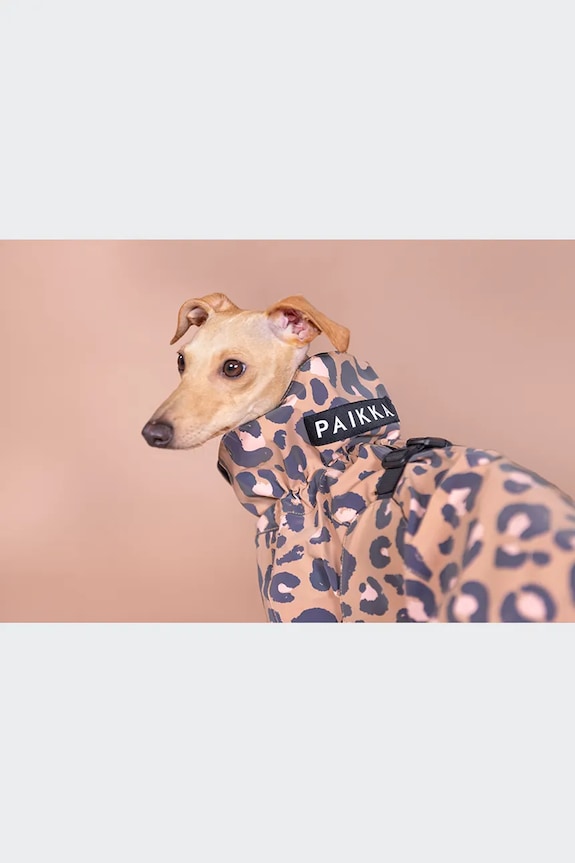 Αδιάβροχο παλτό για σκύλο PAIKKA Visibility Raincoat 48 x 38 x 0,9 cm 1041005