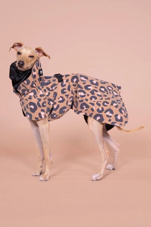 Αδιάβροχο παλτό για σκύλο PAIKKA Visibility Raincoat 48 x 38 x 0,9 cm 1041008