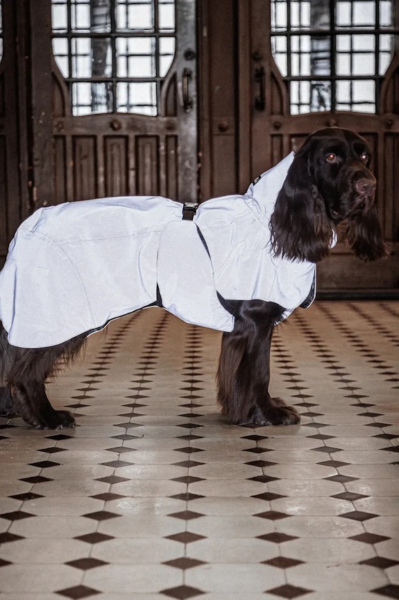 Αδιάβροχο παλτό για σκύλο PAIKKA Visibility Raincoat 41 x 26 x 0,9 cm 1041037