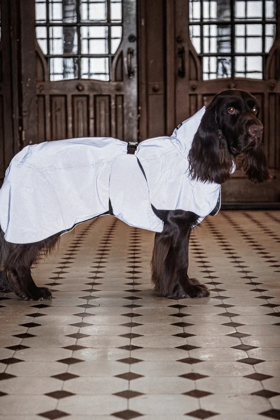 Αδιάβροχο παλτό για σκύλο PAIKKA Visibility Raincoat 48 x 38 x 0,9 cm 1041040.