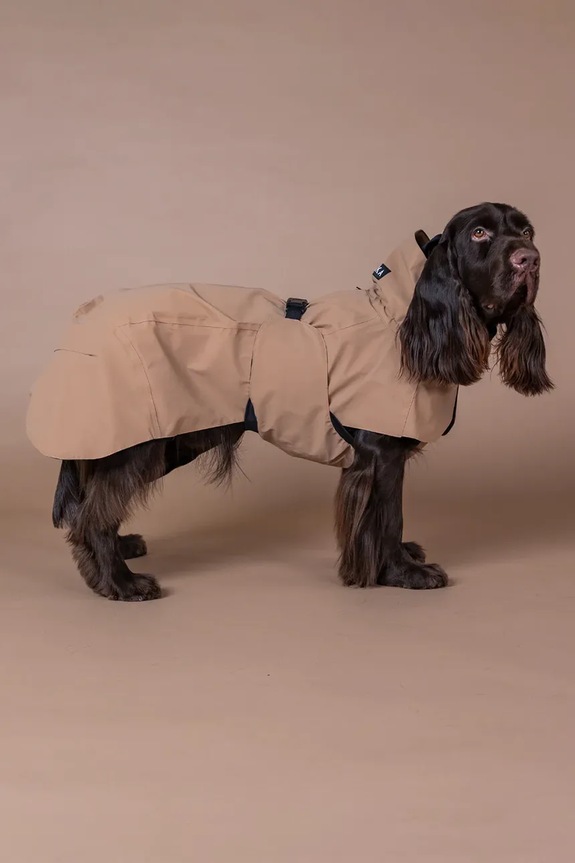 Αδιάβροχο παλτό για σκύλο PAIKKA Visibility Raincoat 56 x 45 x 0,9 cm μπεζ 1041046