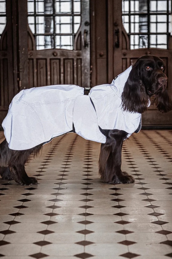 Αδιάβροχο παλτό για σκύλο PAIKKA Visibility Raincoat 56 x 45 x 0,9 cm 1041046
