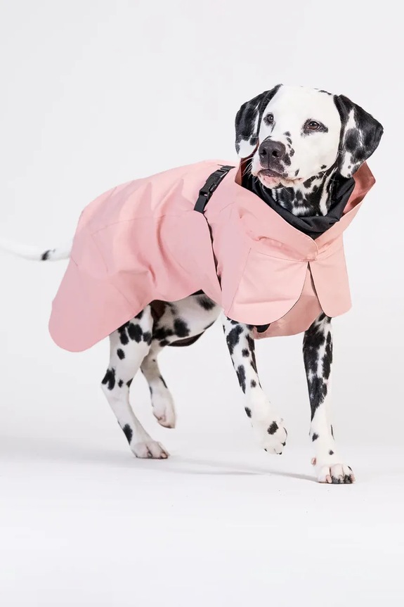 Αδιάβροχο παλτό για σκύλο PAIKKA Visibility Raincoat 41 x 26 x 0,9 cm 1042140