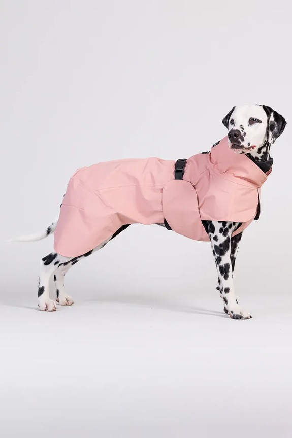 Αδιάβροχο παλτό για σκύλο PAIKKA Visibility Raincoat 48 x 38 x 0,9 cm 1042143 ροζ