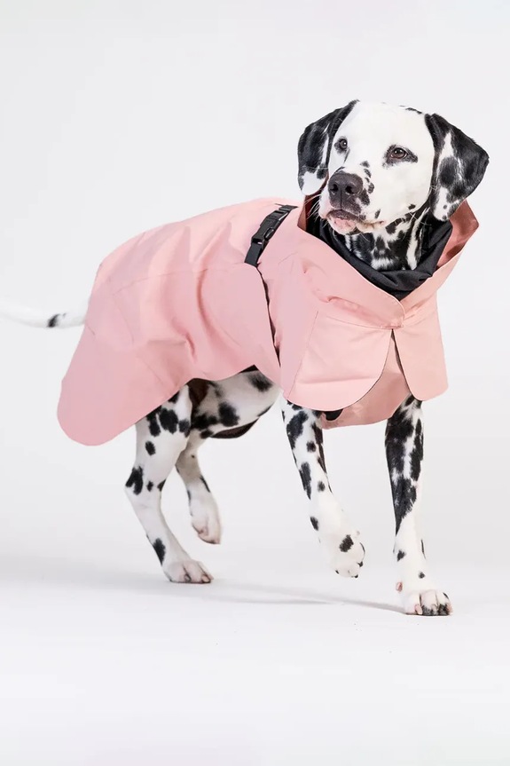 Αδιάβροχο παλτό για σκύλο PAIKKA Visibility Raincoat 48 x 38 x 0,9 cm 1042143