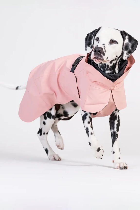 Αδιάβροχο παλτό για σκύλο PAIKKA Visibility Raincoat 56 x 45 x 0,9 cm 1042149