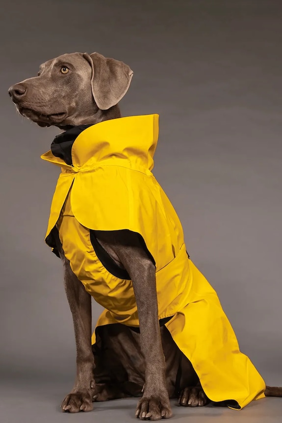 Αδιάβροχο παλτό για σκύλο PAIKKA Visibility Raincoat 48 x 38 x 0,9 cm 1044018 κίτρινο