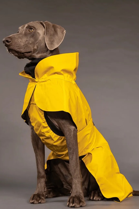Αδιάβροχο παλτό για σκύλο PAIKKA Visibility Raincoat 56 x 45 x 0,9 cm 1044022 κίτρινο