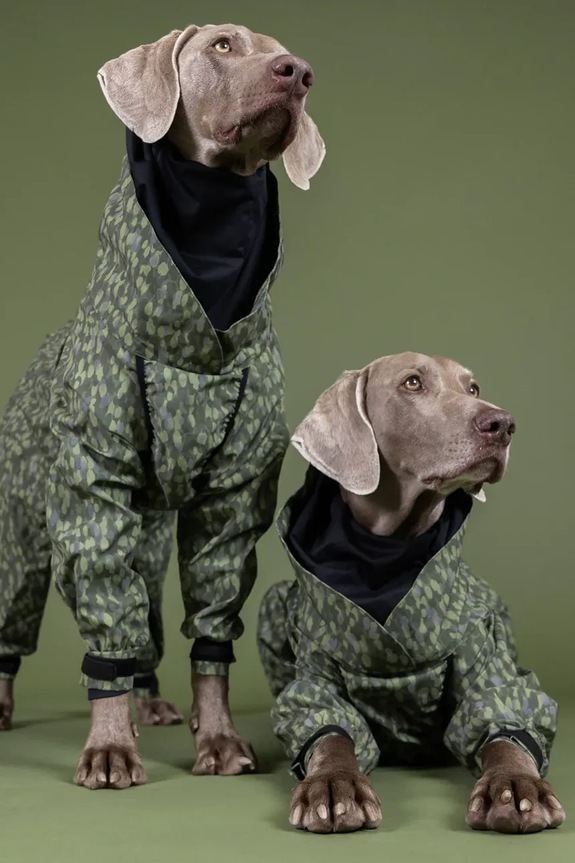Αδιάβροχο για σκύλο PAIKKA Rain Suit Rain 46 x 40 x 1,2 cm πολύχρωμο 1045084
