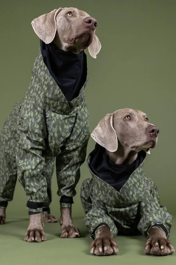 Αδιάβροχο για σκύλο PAIKKA Rain Suit 46 x 40 x 1,2 cm πολύχρωμο 1045087