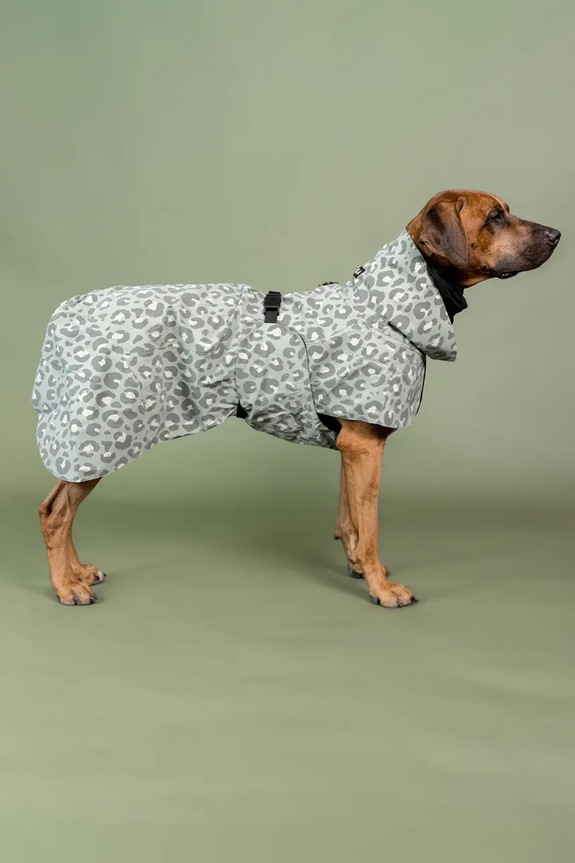 Αδιάβροχο παλτό για σκύλο PAIKKA Visibility Raincoat 41 x 26 x 0,9 cm 1045113 πολύχρωμο