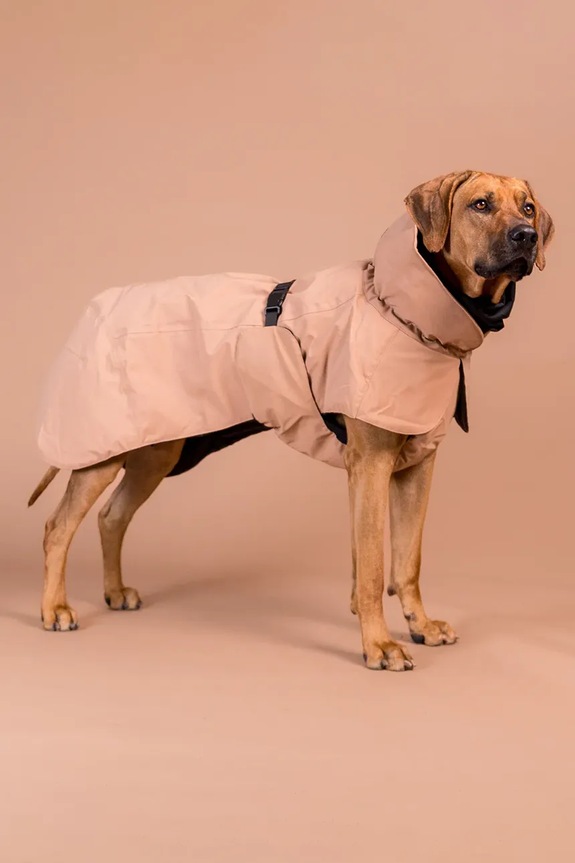 Χειμερινό παλτό για σκύλο PAIKKA Visibility Winter Jacket 45 x 40 x 2,1 cm 1041086.