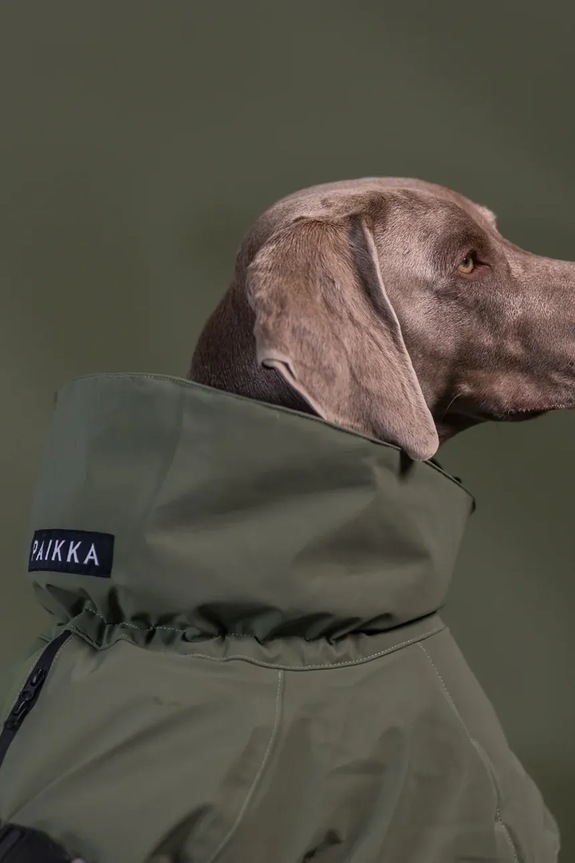 Χειμερινό παλτό για σκύλο PAIKKA Visibility Winter Jacket 45 x 40 x 2,1 cm 1045178