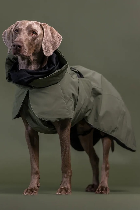 Χειμερινό παλτό για σκύλο PAIKKA Visibility Winter Jacket 45 x 40 x 2,1 cm 1045181 πράσινο