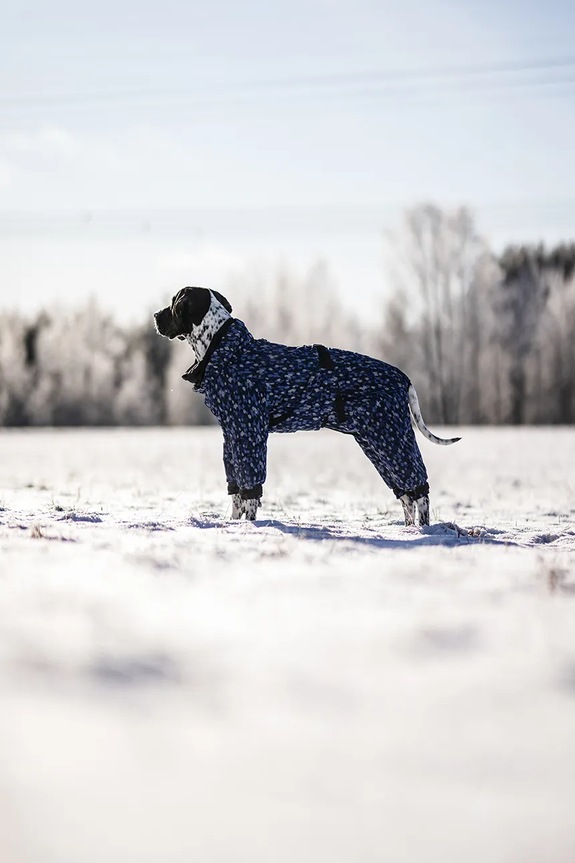 Χειμερινή φόρμα για σκύλο PAIKKA Winter Suit 58 x 44 x 2 cm 1046045