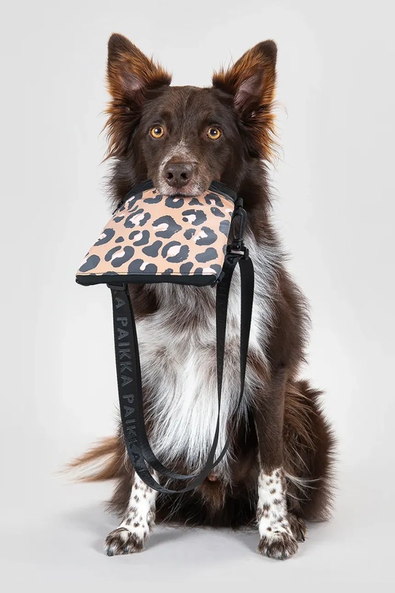 Σακουλάκι για λιχουδιές για σκύλους PAIKKA Visibility Treat Pouch 22 x 19 x 1 cm 1091004 πολύχρωμο AA00