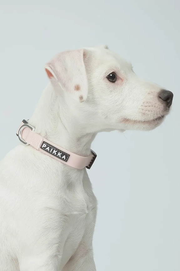 Флуоресцентний нашийник для собаки PAIKKA Glow Collar 17 x 2 x 0,5 cm рожевий 1032013