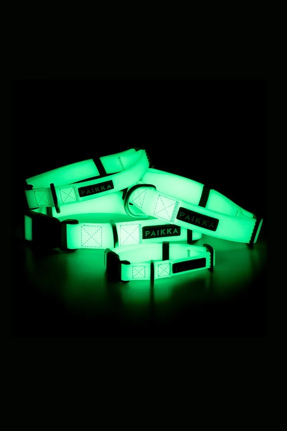 Lifestyle Φθορίζον κολάρο για σκύλους PAIKKA Glow Collar 19 x 2 x 0,5 cm 1032014 ροζ