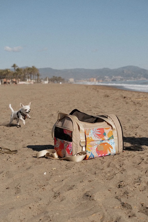 Bebobi transporter dla pupila 43 x 23 x 20 cm TTKAS23B multicolor AA00