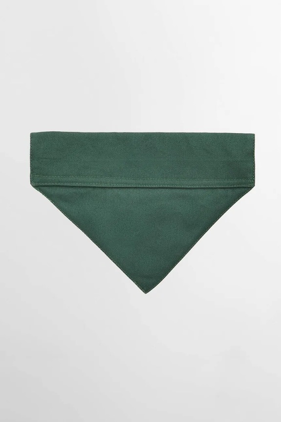 Barbour bandana dla pupila L/XL DAC0126GN91 turkusowy AA00