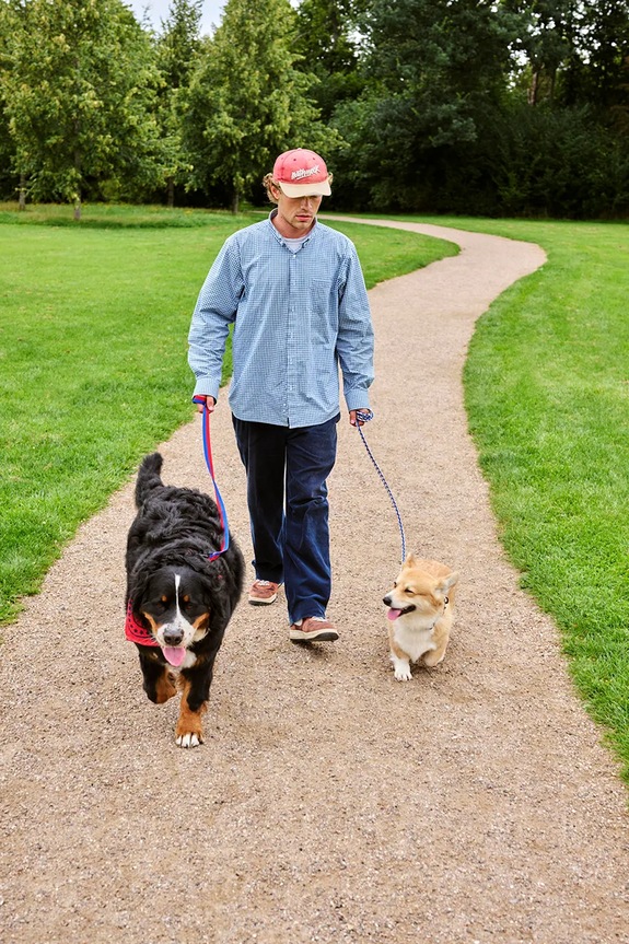 HAY lead for dog 2,5 x 160 cm AD865.D029.AL56