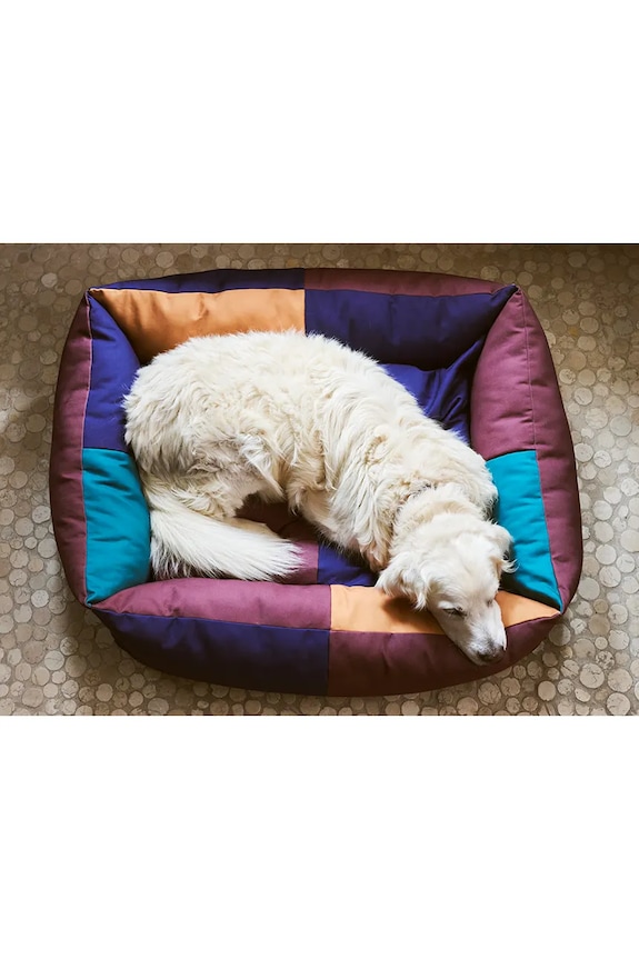 HAY pat pentru animale de companie 30 x 75 x 96 cm AF570.A603.AO15 multicolor