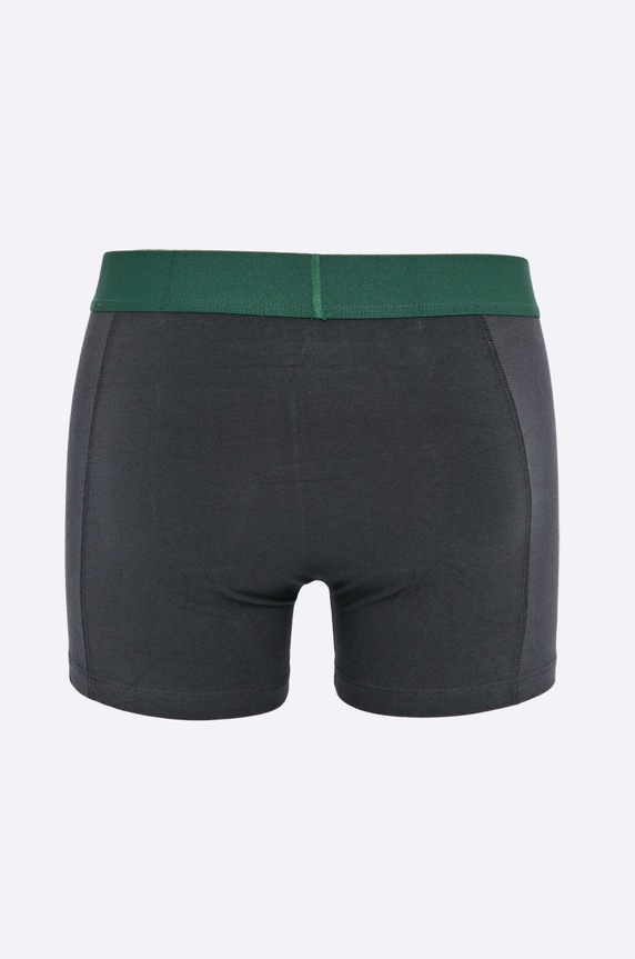 Puma - Boxerky Puma Placed logo boxer 2p green (2-pak) 90651904 zelená 90651904