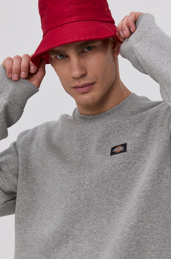Dickies Bluza szary DK0A4XCEGYM