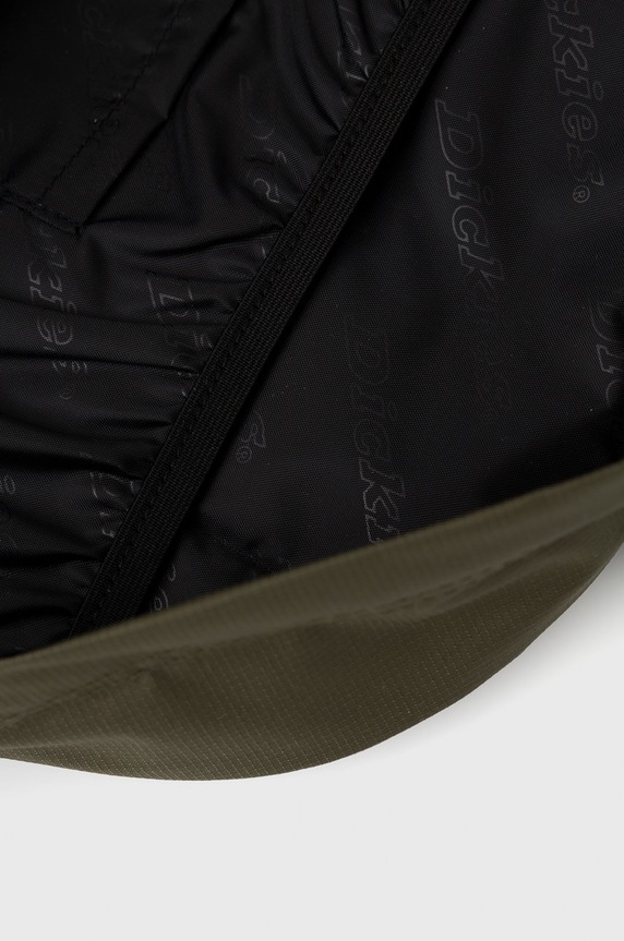 Dickies Plecak DK0A4XIQMGR zielony