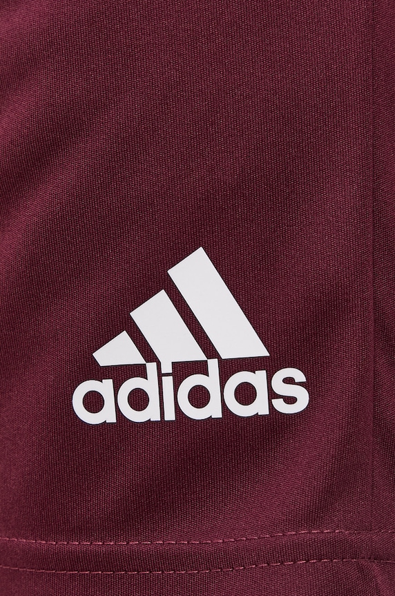 Îmbrăcăminte adidas Performance Pantaloni scurți GN8083 GN8083 burgundia