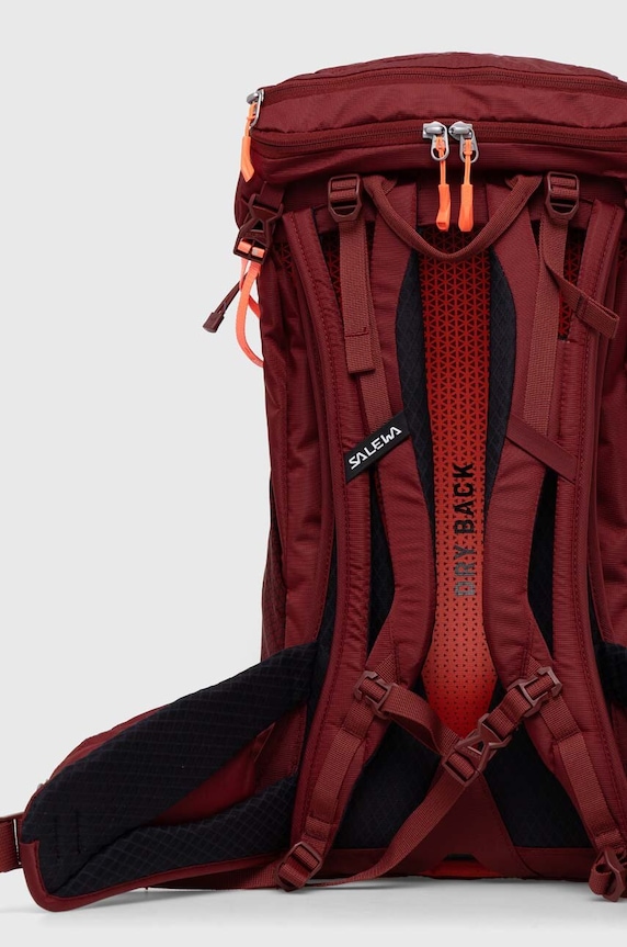 Σακίδιο πλάτης Salewa Alp Trainer 20 00.0000001262