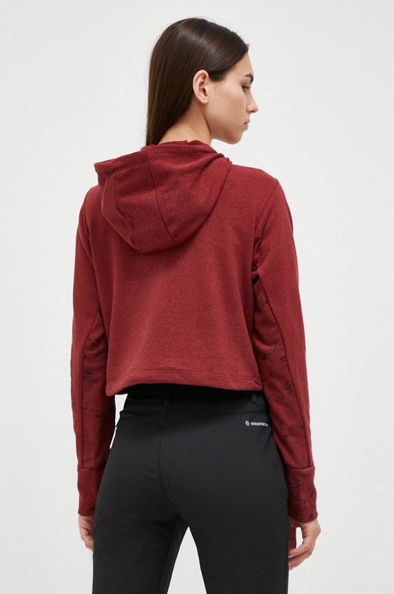 Odjeća Sportska dukserica Salewa Lavaredo Hemp 00.0000028548 bordo