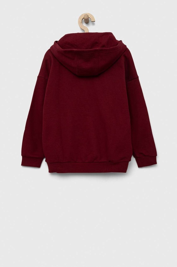 Dječaci Dječja dukserica adidas Originals IJ0751 bordo