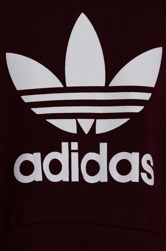 Dječaci Dječja dukserica adidas Originals IN4745 bordo