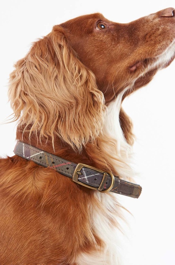 Нашийник за домашен любимец Barbour многоцветен DAC0008