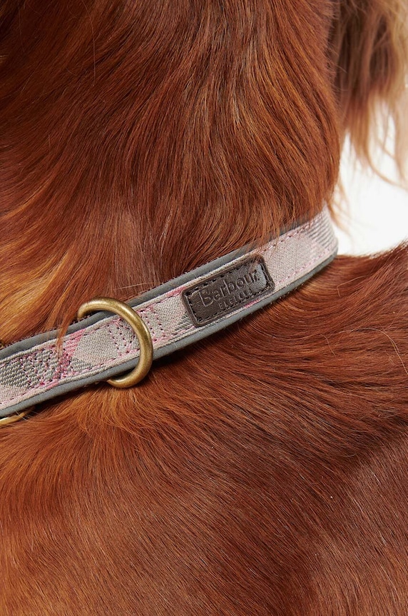 Ogrlica za psa Barbour roza DAC0052