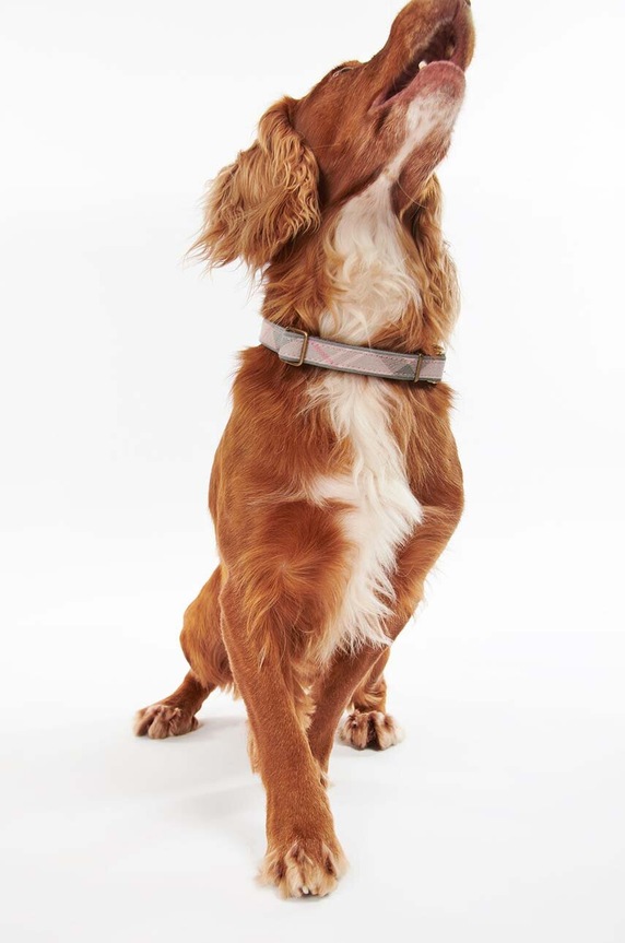 Ogrlica za psa Barbour DAC0052 roza