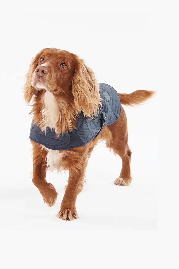 Lifestyle Barbour cappotto per cane Quilted Dog Coat DCO0004 blu navy