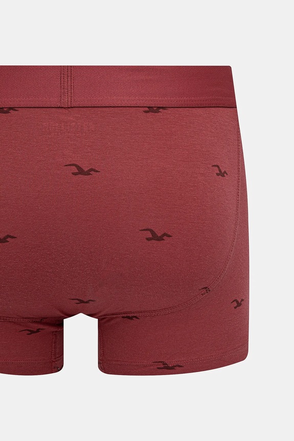 Hollister Co. boxeralsó 5 db KI314.4010.208