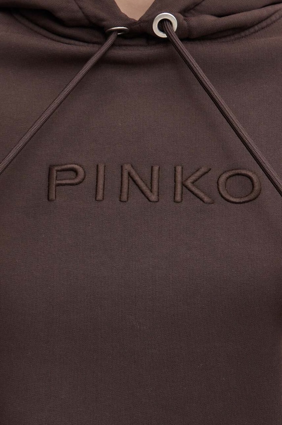 Pinko bluza 101685.A21P brązowy