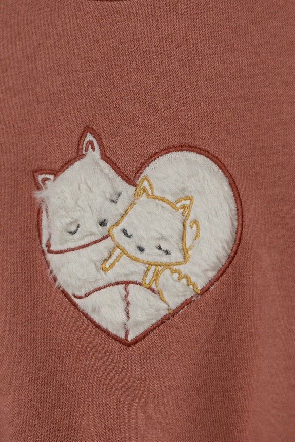 Κοριτσίστικα Παιδική μπλούζα United Colors of Benetton 39M2G10GD.P.Seasonal καφέ