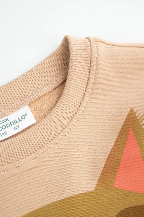 Coccodrillo bluza dziecięca brązowy ZC4132101LBK