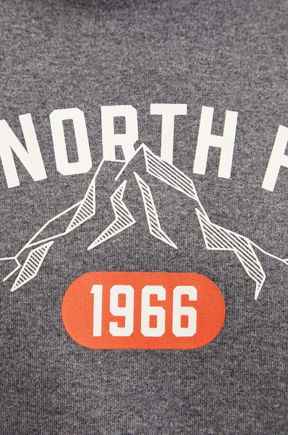 Mikina The North Face Hoodie Varsity Graphic NF0A89DJDYY1 sivá